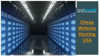 cheap website hosting usa