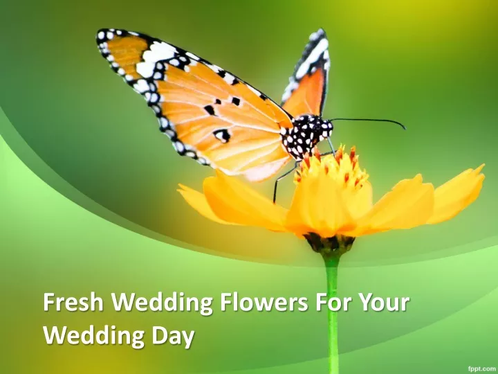 fresh wedding flowers for your wedding day