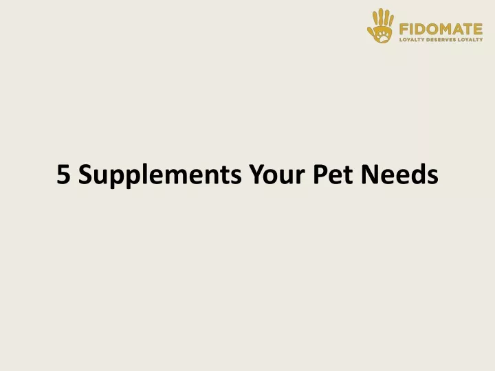 5 supplements your pet needs