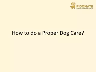 dog care products