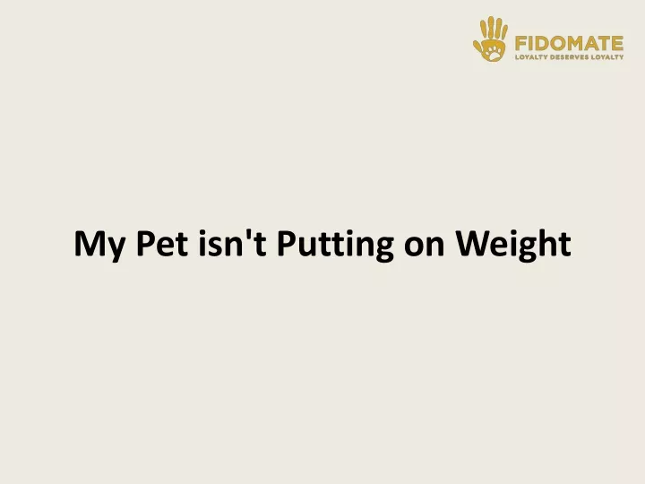 my pet isn t putting on weight