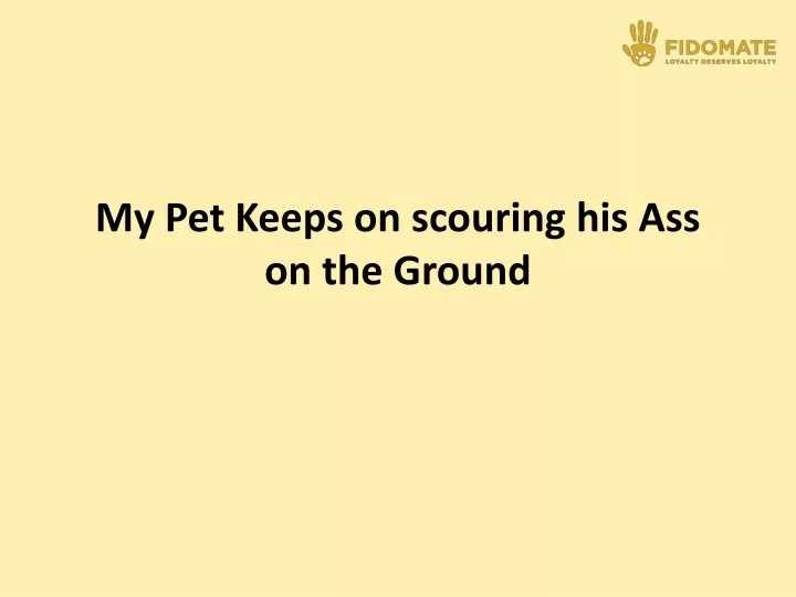 my pet keeps on scouring his ass on the ground