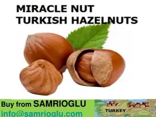 MIRACLE NUT TURKISH HAZELNUTS - BUY FROM SAMRIOGLU