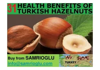 31 HEALTH BENEFITS OF TURKISH HAZELNUTS - BUY FROM SAMRIOGLU