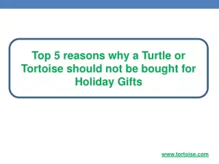 Top 5 reasons why a Turtle or Tortoise should not be bought for Holiday Gifts