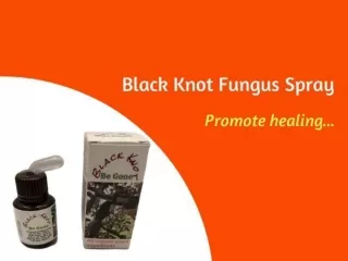 Use Black knot fungus spray-Promote healing of Trees