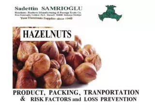 Turkish_Hazelnuts_Product_Packing_Transporting_SAMRIOGLU_HAZELNUTS