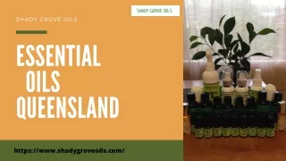 Essential oils Queensland | Shady Grove Oils