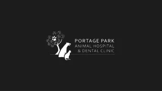 Qualified Animal Hospital At Portage Park Animal Hospital & Dental Clinic