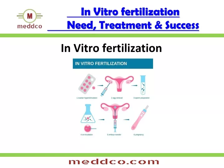 in vitro fertilization need treatment success
