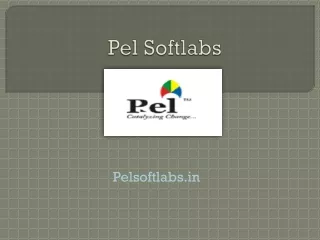 Pel Softlabs Pvt Ltd