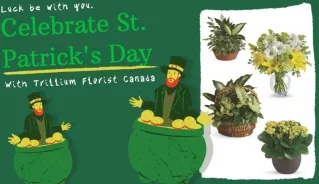 Celebrate St. Patrick's Day With Trillium Florist Canada