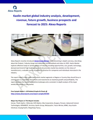 Global Kaolin Market Analysis 2015-2019 and Forecast 2020-2025