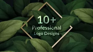 10 Plus Professional Logo Designs