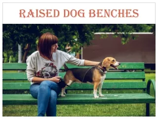 Raised Dog Benches