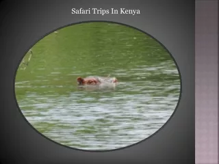 safari trips in kenya