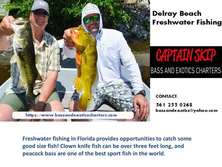 freshwater fishing in florida provides
