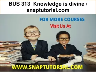 BUS 313  Knowledge is divine / snaptutorial.com