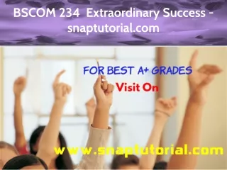 BSCOM 234  Extraordinary Success - snaptutorial.com