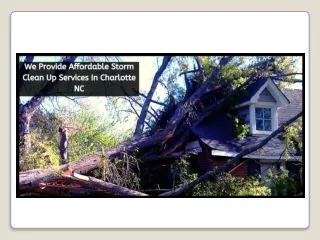 We Provide Affordable Storm Clean Up Services In Charlotte NC