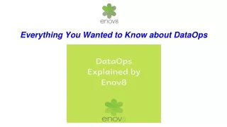 everything you wanted to know about dataops