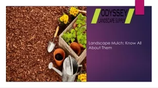 Landscape Mulch: Know All About Them