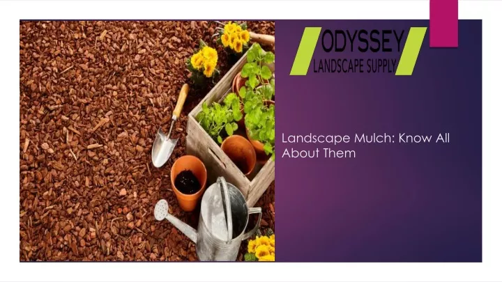 landscape mulch know all about them