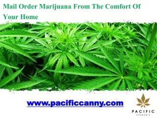 Mail Order Marijuana From The Comfort Of Your Home - www.pacificcanny.com
