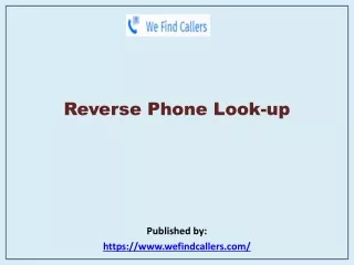 Reverse Phone Look-up