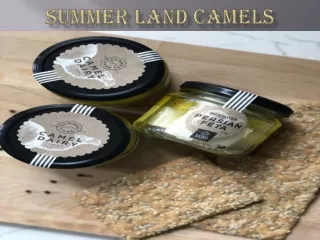 Summer Land Camels | Shop | Tours & Rides | Camel Milk Produce