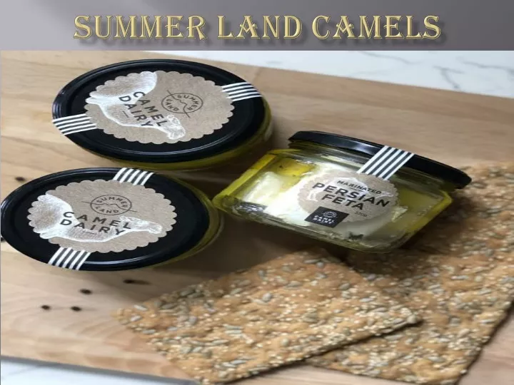 summer land camels
