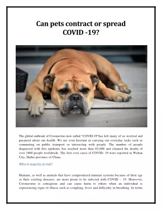 Can pets contract or spread COVID -19?