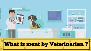 Veterinarians For Your Pet Health Care