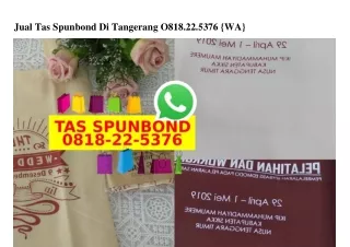 Jual Tas Spunbond Di Tangerang O8I8–22–5376[wa]