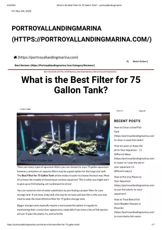 Filter for 75 Gallon Tank