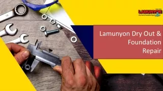 Lamunyon Dry Out & Foundation Repair Ppt