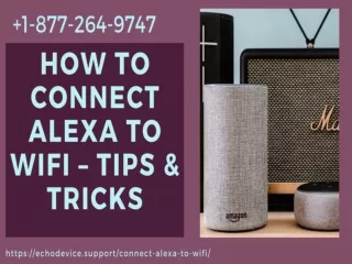 Quick Experts Help How to Connect Alexa to WiFi –Call Anytime