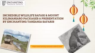 Tanzania Wildlife Safari, Mount Kilimanjaro and Zanzibar Packages