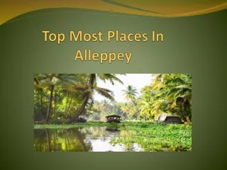 The Places You Should Not Miss In Queen Of Backwater Alleppey