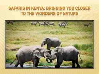 Safaris in Kenya: Bringing You Closer to the Wonders of Nature