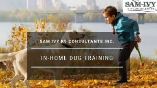 In-Home Dog Training - Sam Ivy K-9 Consultants