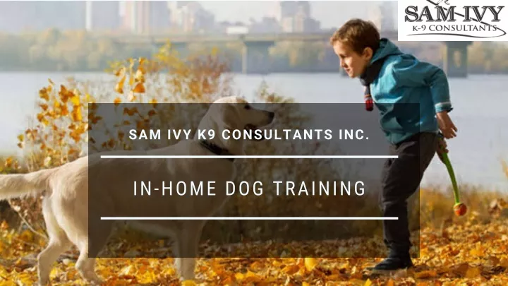 sam ivy k9 consultants inc