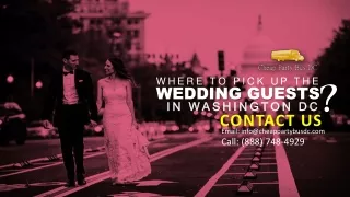 Where to Pick Up the Wedding Guests in Washington DC by Party Bus DC