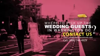 Where to Pick Up the Wedding Guests in Washington DC by Party Bus Rental