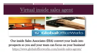 Virtual inside sales agent