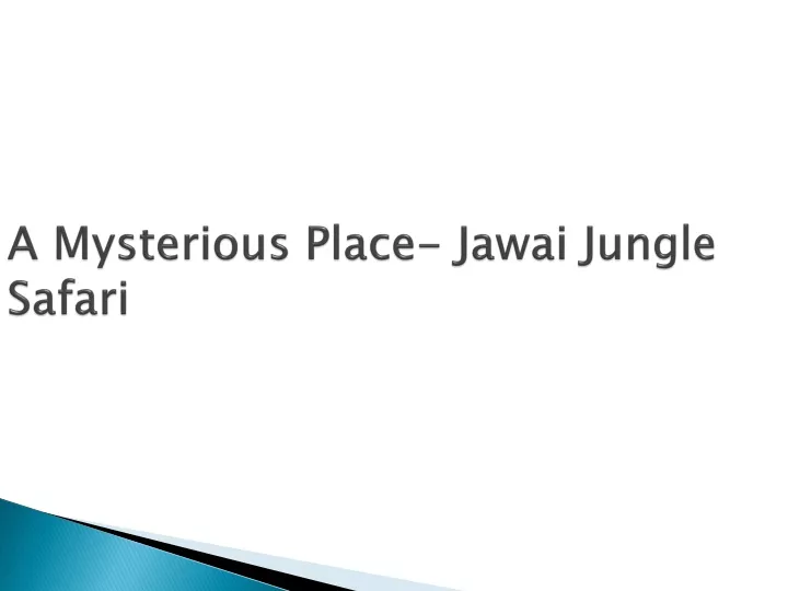 a mysterious place jawai jungle safari