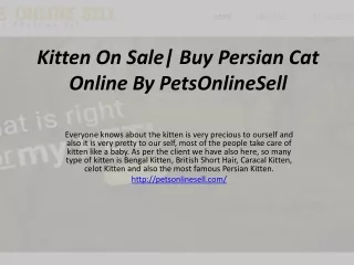 Kitten On Sale | Buy Persian Cat Online| Petsonlinesell | Contact  1 323 553 1481