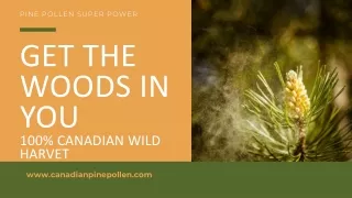 The best pine pollen tincture and Synthetic Supplement.