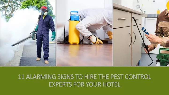 11 alarming signs to hire the pest control experts for your hotel