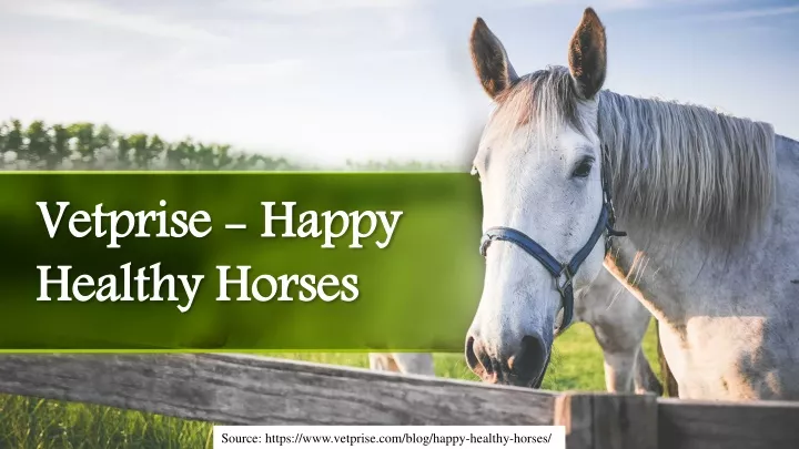 vetprise happy healthy horses